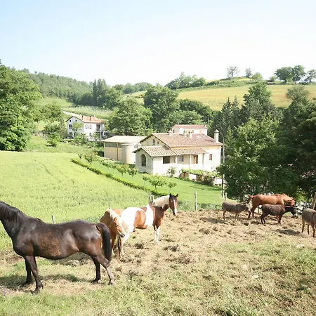 ファームステイ Borgo Di Cortolla ピエトラルンガ